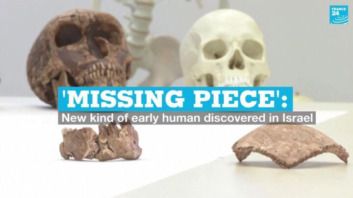 Bone fragments from a newly discovered group of early humans named Nesher Ramla Homo.